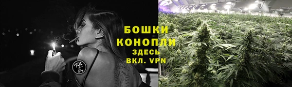 молекула духа Белокуриха