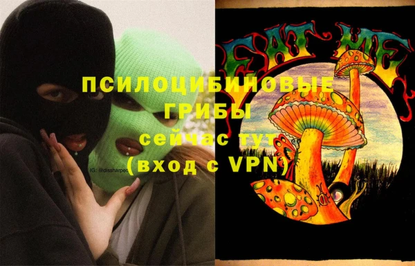 молекула духа Белокуриха