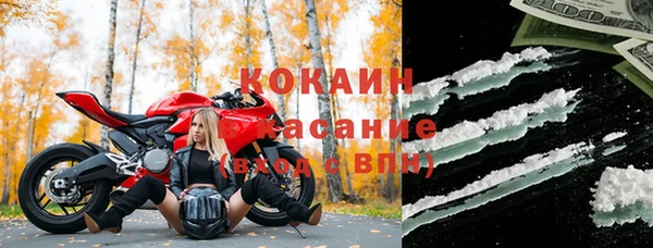 молекула духа Белокуриха