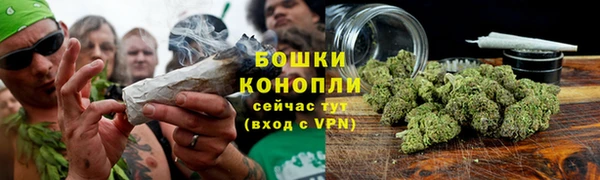 молекула духа Белокуриха