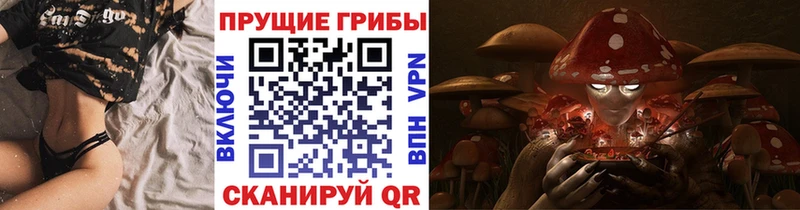 купить наркотик  MEGA сайт  Псилоцибиновые грибы Psilocybe  Макаров 